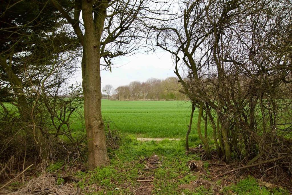 Spacious 5 Bed In The Countryside, Close To Frinton-On-Sea Kirby Cross Екстериор снимка